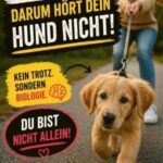 hund