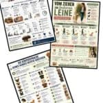 _3 Hunde Training Poster _compressed