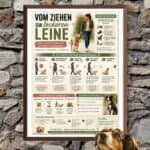 vom ziehen zu lockeren leine Infografik mit Hund tipps und schritt für schritt erklärt