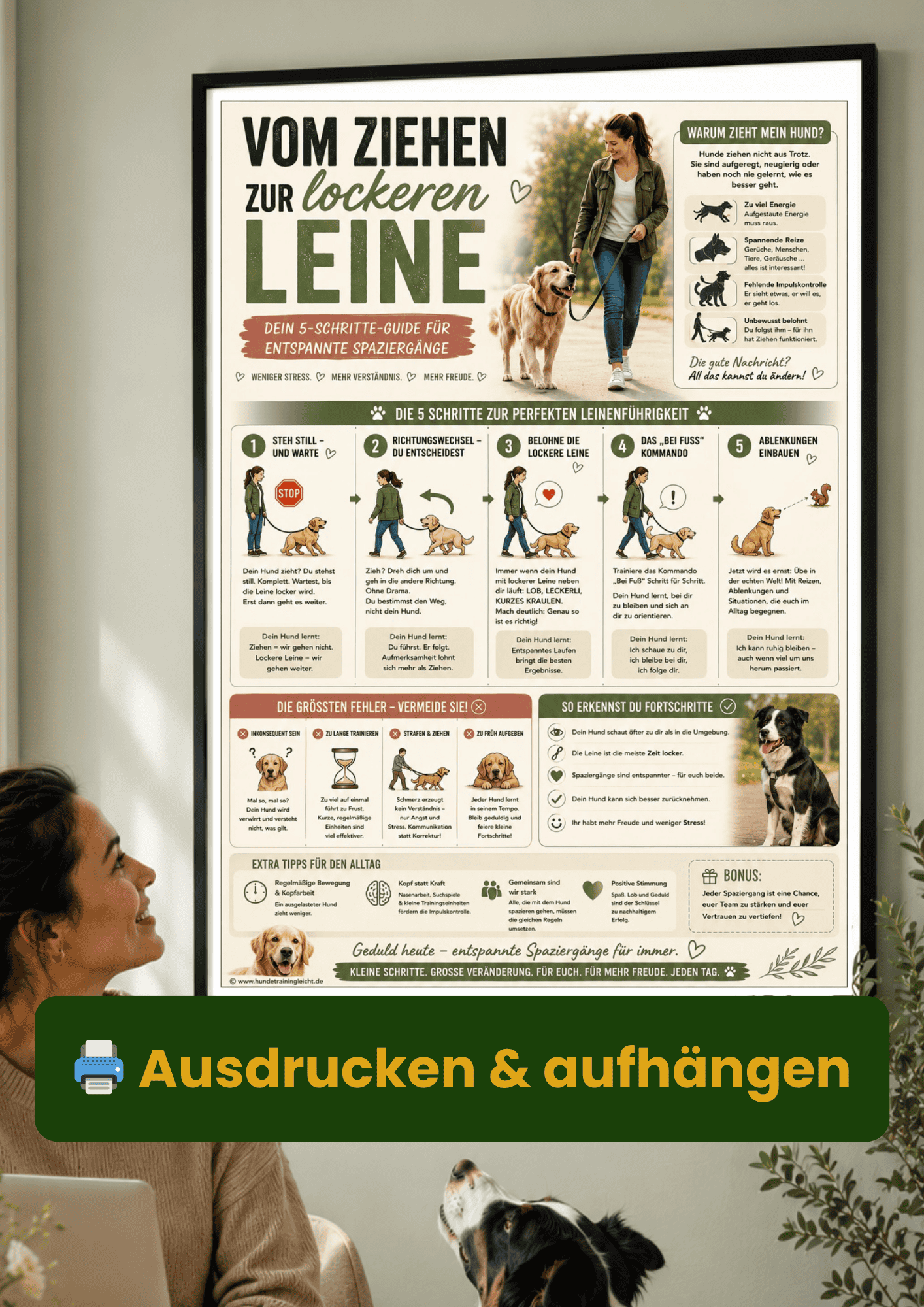 Leinenführigkeit Übungen – Schritt für Schritt Anleitung