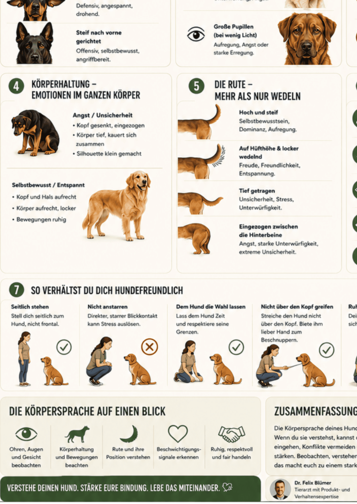Körpersprache Poster