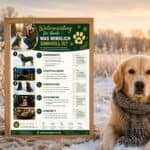 Winterausrüstung für Hunde: Was wirklich sinnvoll ist Winterausruestung fuer hunde was wirklich sinnvoll ist poster hundetrainingplan