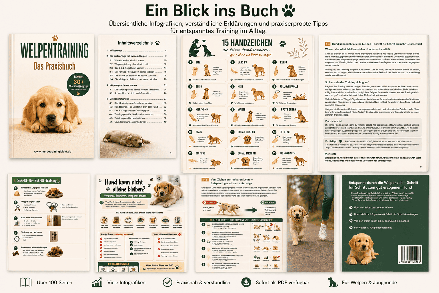 Blick ins Buch – Welpentraining Das Praxisbuch