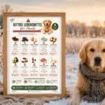 Giftige Lebensmittel für Hunde: Diese 10 Dinge darf dein Hund niemals fressen Giftige lebensmittel fuer hunde hundetrainingplan
