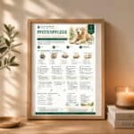 Poster zur Pfotenpflege bei Senioren-Hunden