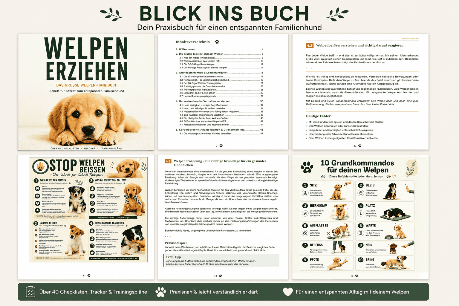 Blick ins Buch – Welpen erziehen Hundetraining Handbuch