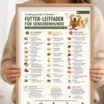 Futter-Leitfaden für Seniorenhunde: Was gehört jetzt auf den Teller? Futter-Leitfaden Poster für Senioren-Hunde mit Ernährungstipps zum Ausdrucken