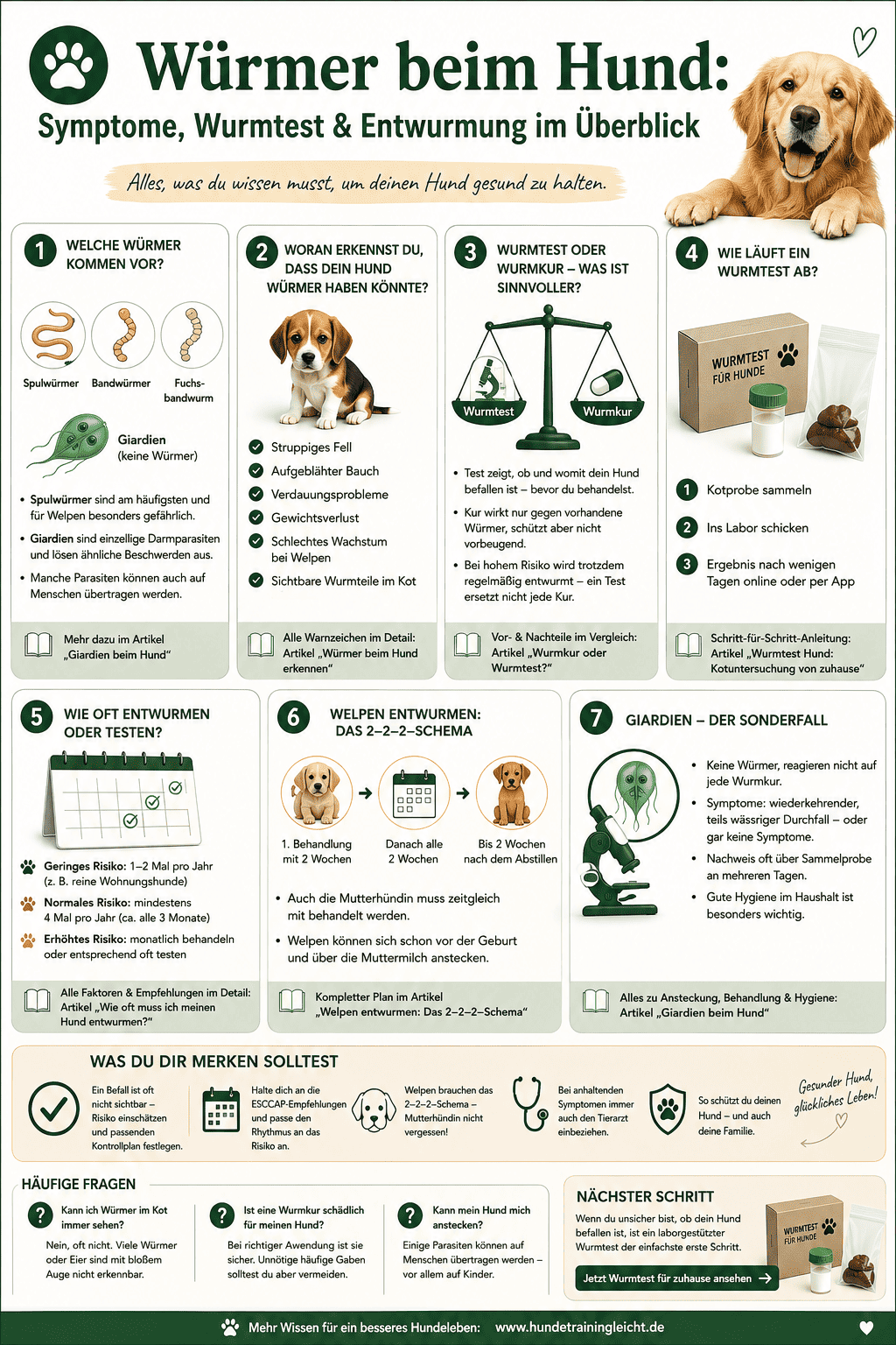 Infografik: Würmer beim Hund – Wurmtest und Entwurmung im Überblick
