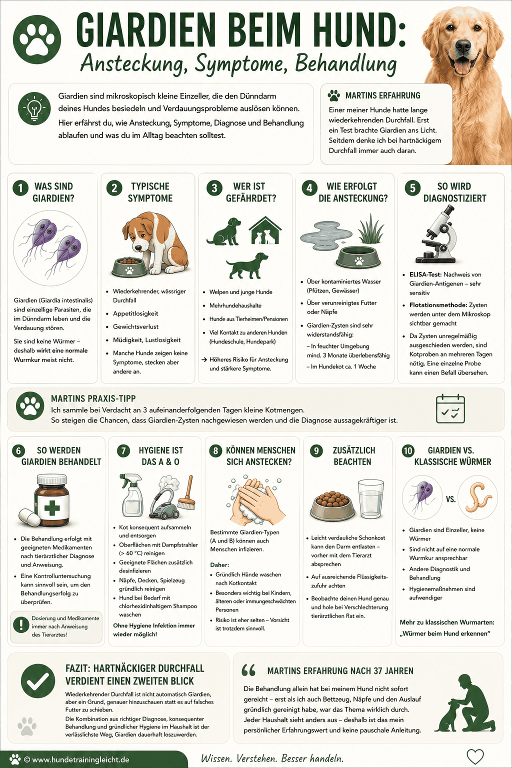 Infografik: Giardien beim Hund – Ansteckung, Symptome, Behandlung