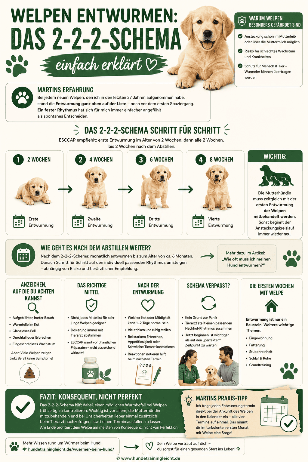 Infografik: Welpen entwurmen nach dem 2-2-2-Schema