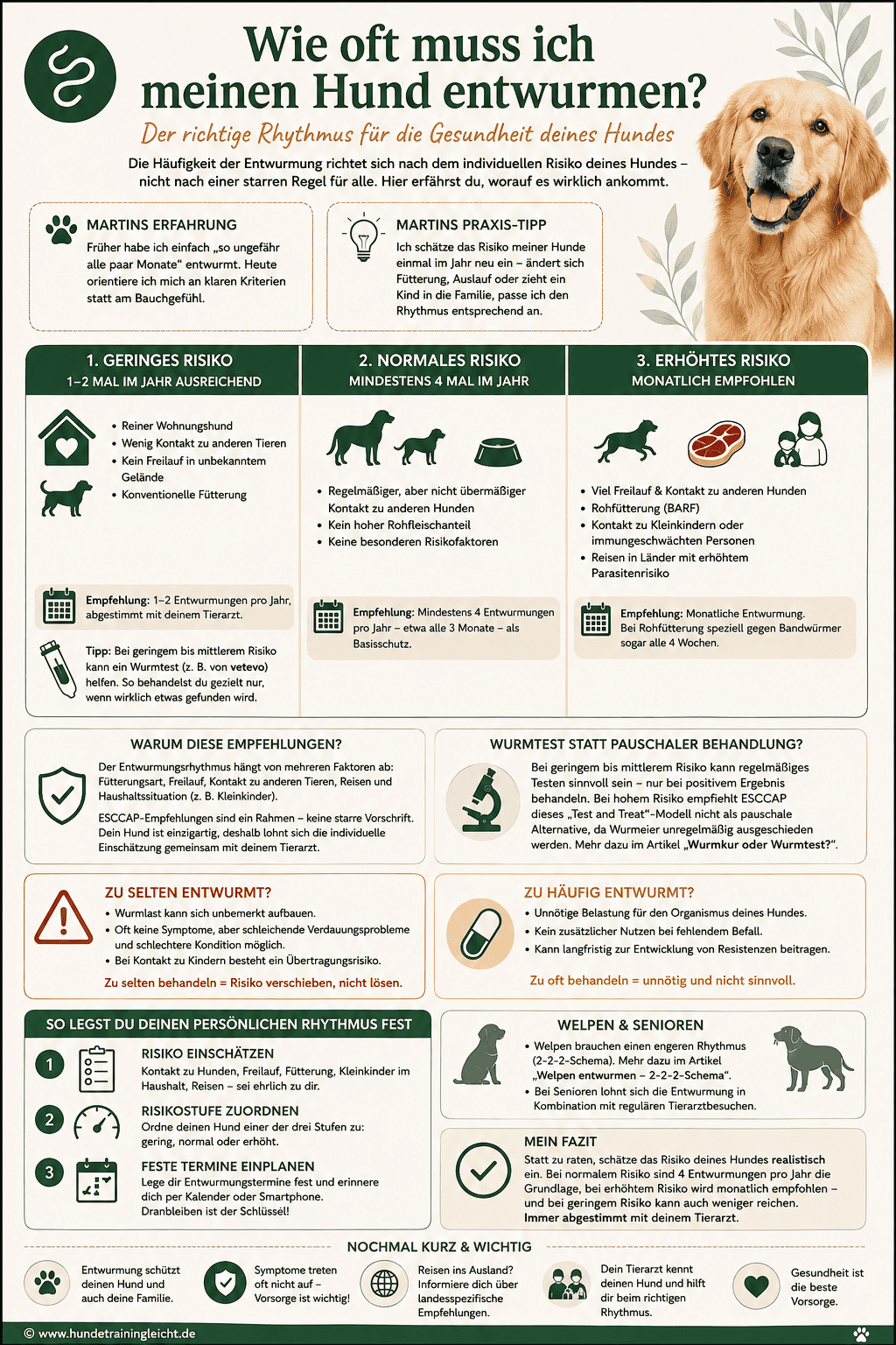 Infografik: Wie oft muss ich meinen Hund entwurmen